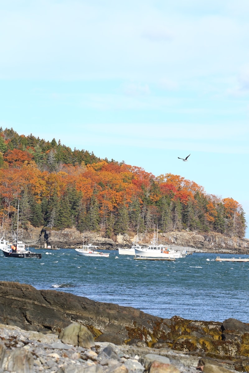 Bar Harbor